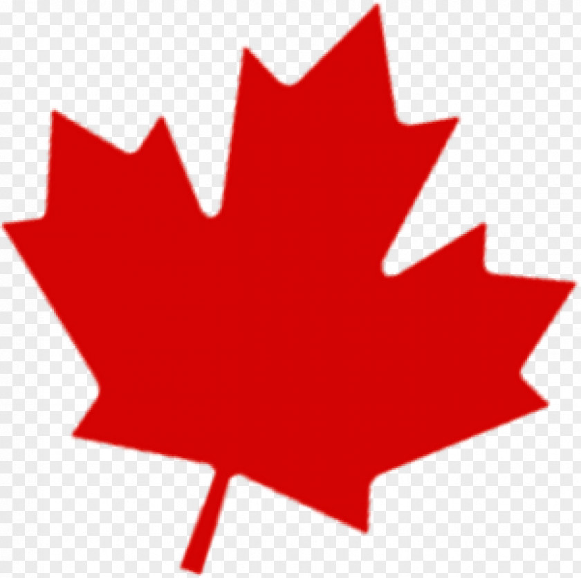 Canada Flag Of Maple Leaf Day Clip Art PNG