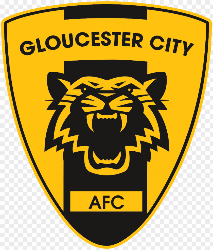 Football Gloucester City A.F.C. Dartford F.C. National League South Cirencester Town PNG