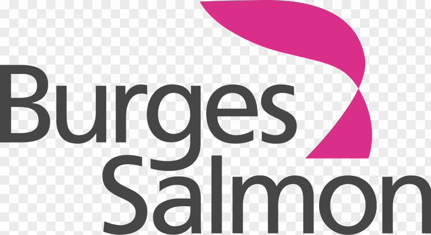 Lawyer Burges Salmon Solicitor Bristol Law Firm PNG
