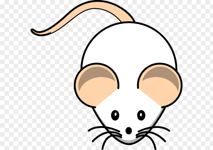 Rat Daisy Duck Minnie Mouse Computer Clip Art PNG