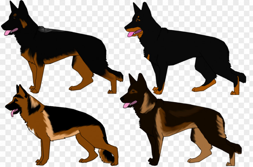 Shepherd Lancashire Heeler Australian Kelpie German Cattle Dog Breed PNG