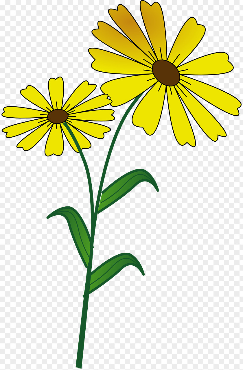 Wild Flower Clip Art PNG