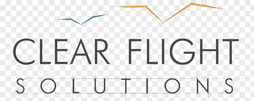 Bird Business Clear Flight Solutions BV Technology PNG