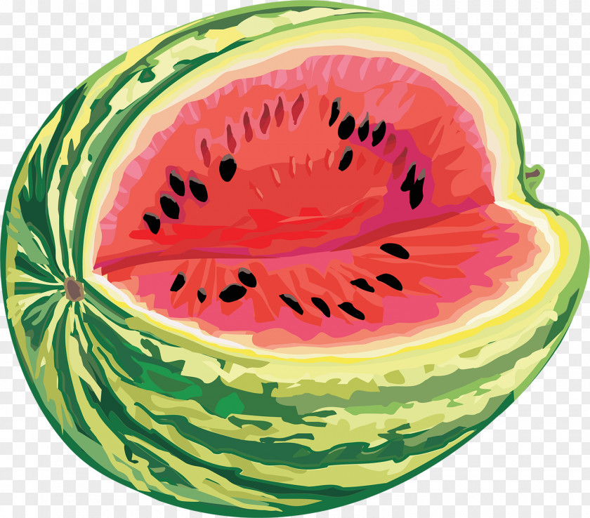 Block Ornament Vector Graphics Watermelon Clip Art Cucurbits PNG