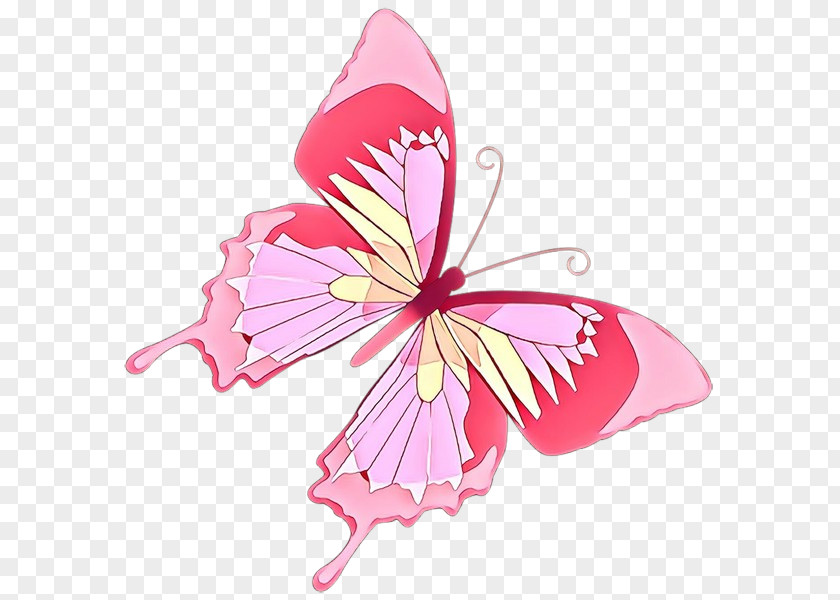 Butterfly Pink Petal Plant Moths And Butterflies PNG