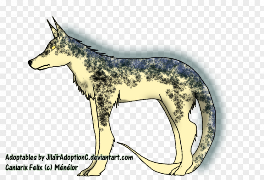 Dog Jackal Wildlife Cartoon Tail PNG