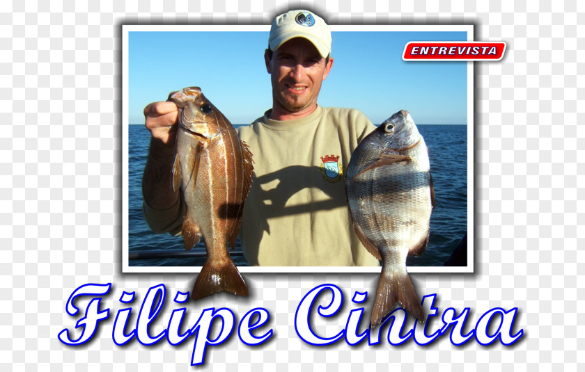 Filipe Luis Casting Jigging Fishing Bass Guitar PNG