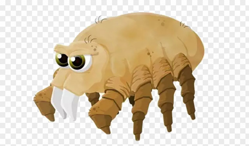 Insect Mites House Dust Acari Allergy PNG