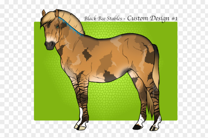 Mustang Mane Foal Stallion Colt PNG