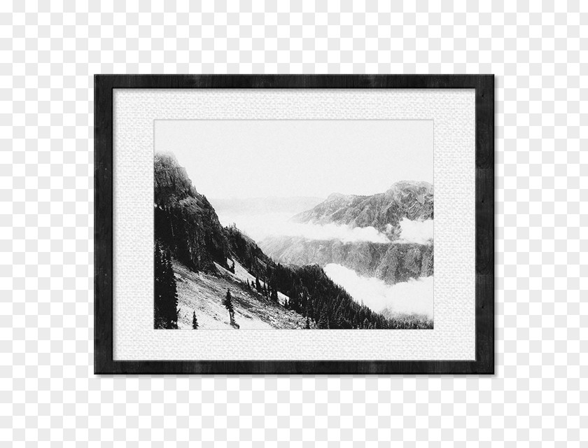 Painting Black And White Nature Photography Picture Frames PNG