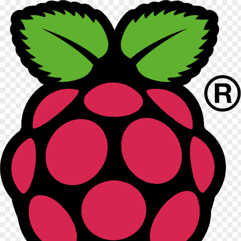 Computer Raspberry Pi Raspbian Arch Linux PNG