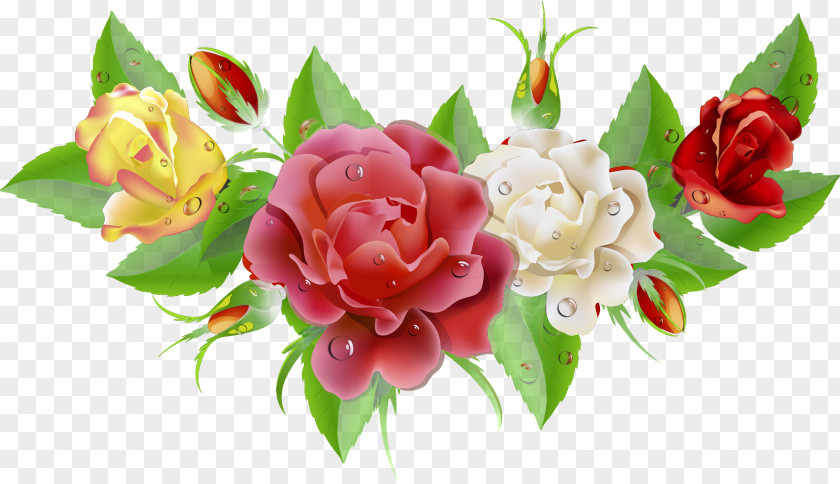 Fondos Cut Flowers Floral Design Clip Art PNG