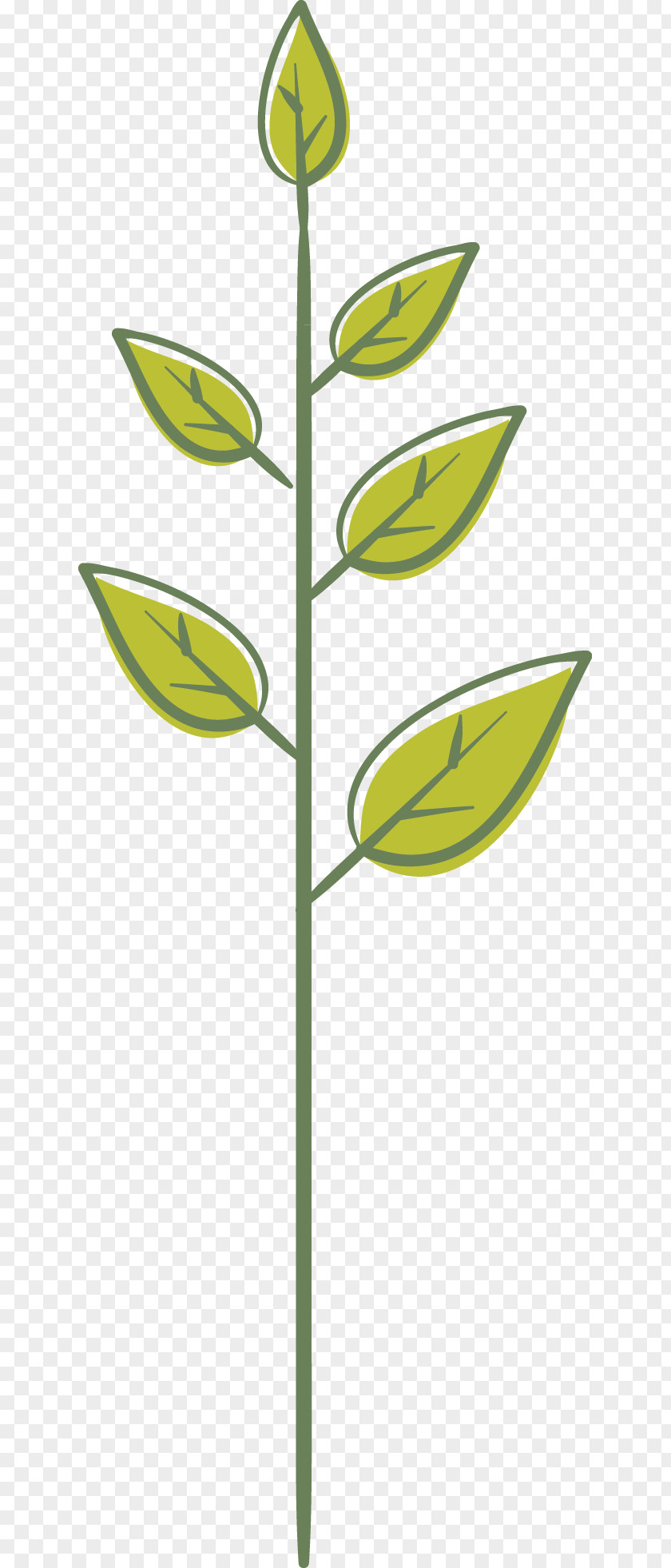 Leaves Leaf Green Plant Stem PNG