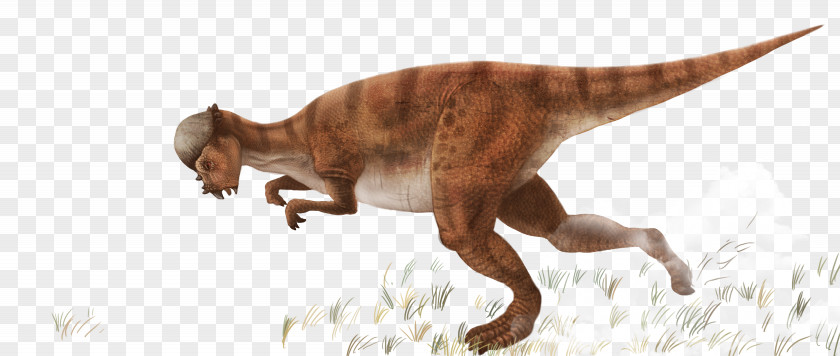 Running Dinosaur Tyrannosaurus Illustration PNG