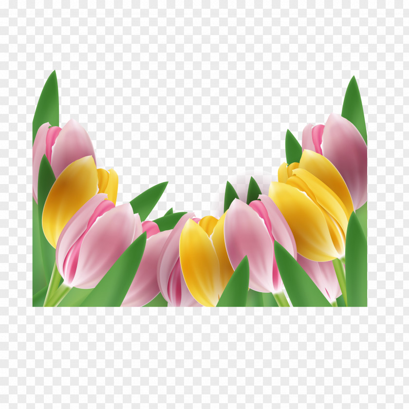 Tulip Flower Floral Design PNG