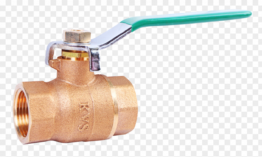 Brass Globe Valve Ball Check PNG