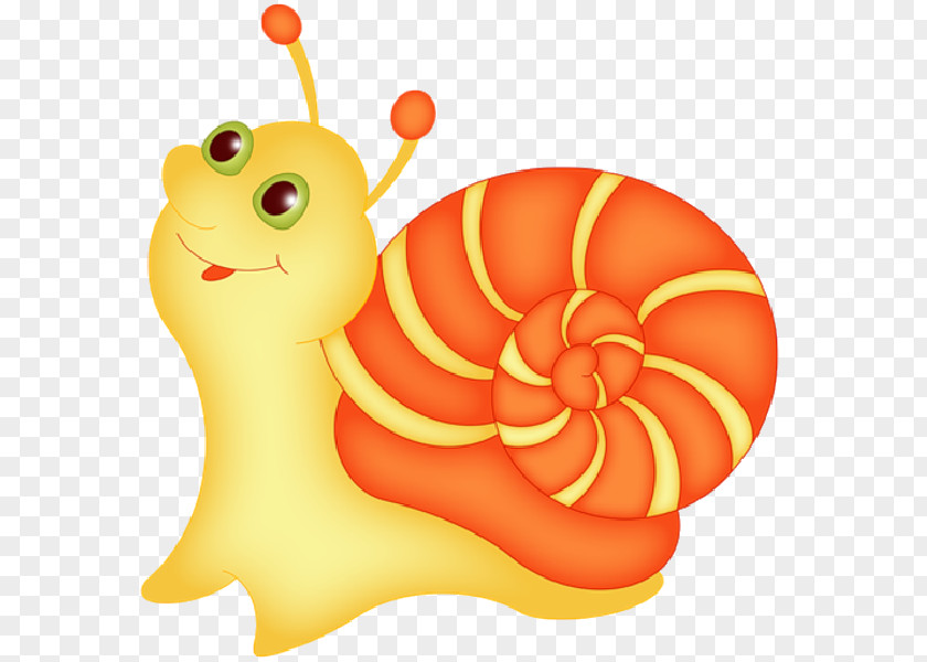 Snail Animation Cartoon Escargot PNG