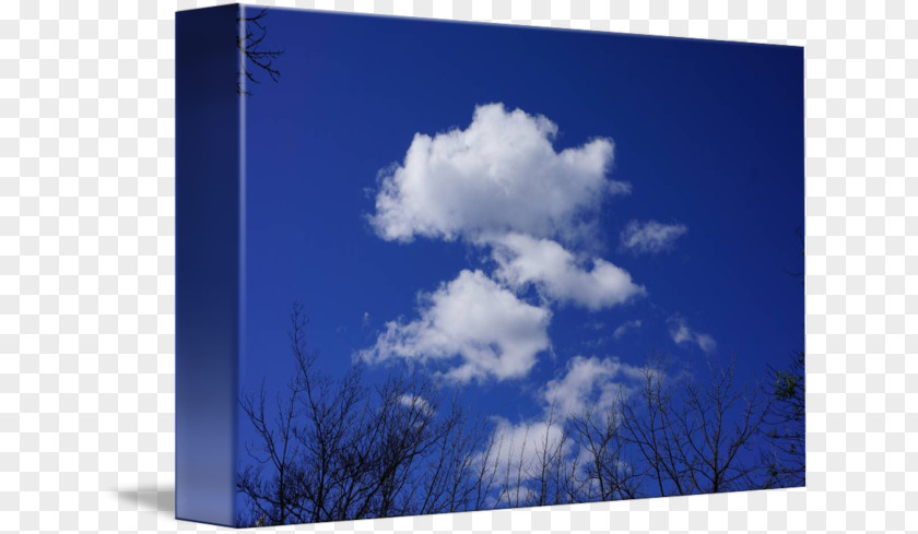 Blue Sky And White Clouds Desktop Wallpaper Energy Computer Tree PNG