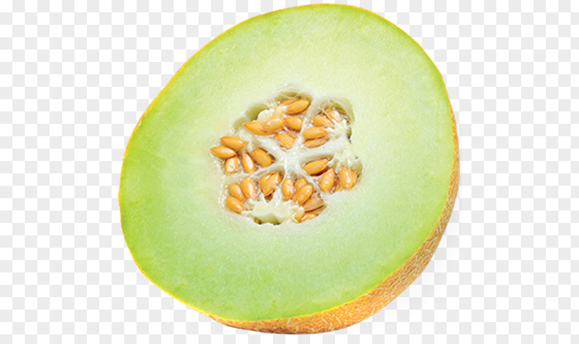 Cantaloupe Melon Honeydew Galia Watermelon PNG