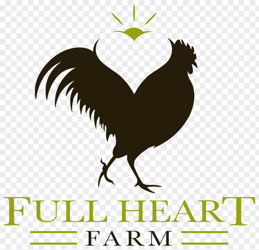 Farm Poultry Farming Rooster Rhode Island Red Logo PNG
