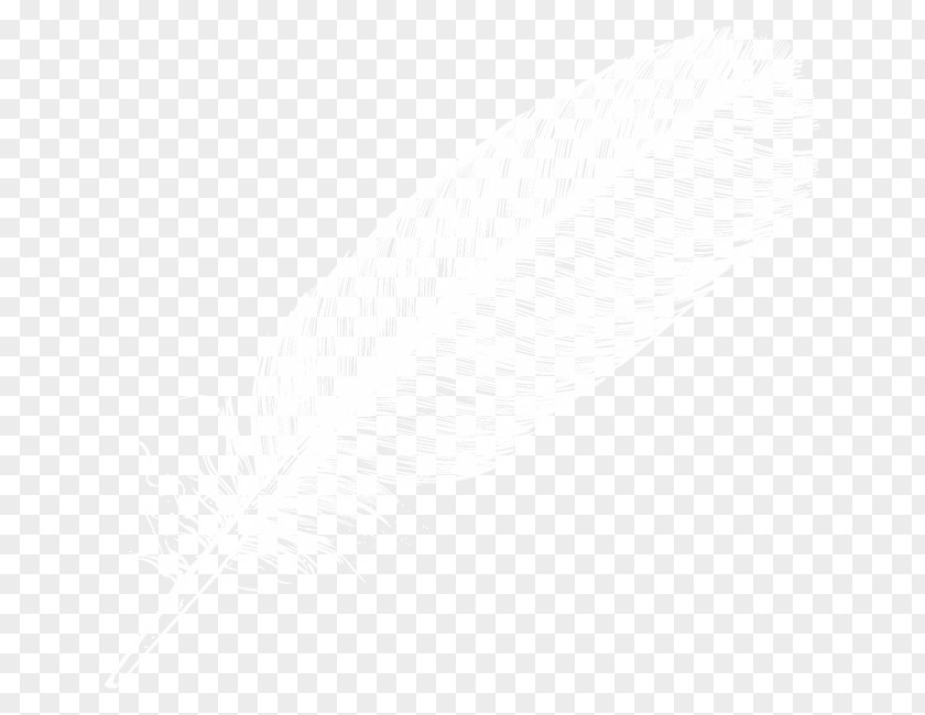 Feather White Black Pattern PNG