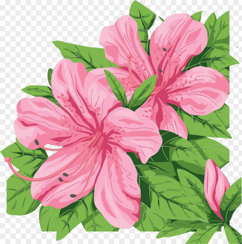Flower Azalea Rosemallows Clip Art PNG