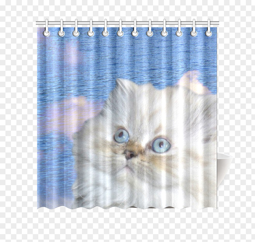 Water Curtain Cat Kitten Textile Douchegordijn PNG