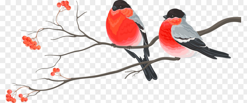 Cute Red Birds Bird Wedding Invitation Christmas Card Decoration PNG