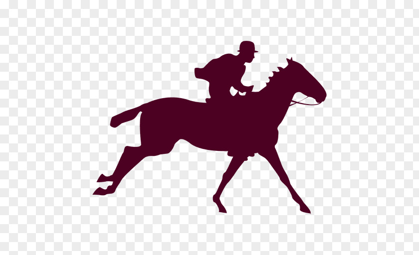 Horse Riding Equestrian Silhouette PNG