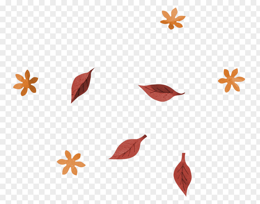 Leaf Veins Vector Graphics Image Illustration Royalty-free Photograph PNG