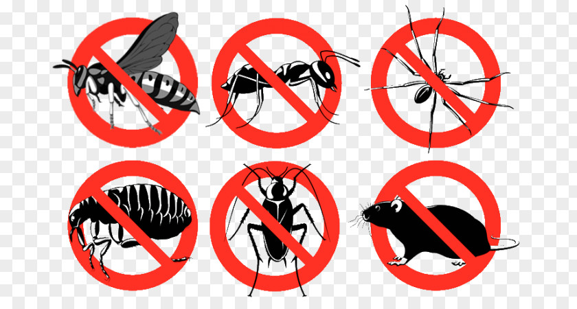 Pest Control Insecticide Pesticide Bedbug PNG
