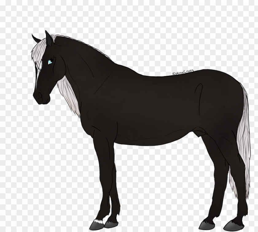 Silhouette Thoroughbred Horses Drawing Equestrian Stallion PNG