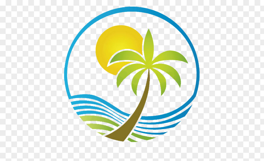 Tree Arecaceae Clip Art PNG