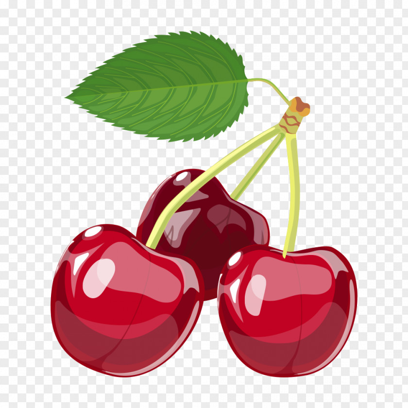 Cartoon Cherry Berry PNG
