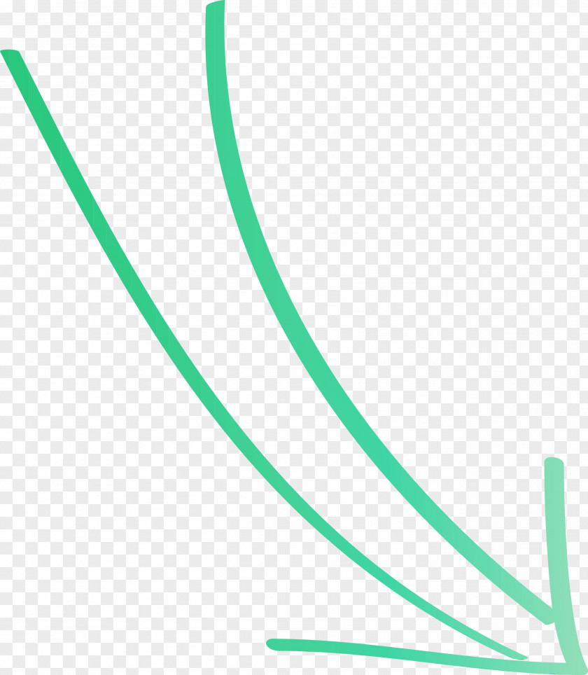 Green Line PNG