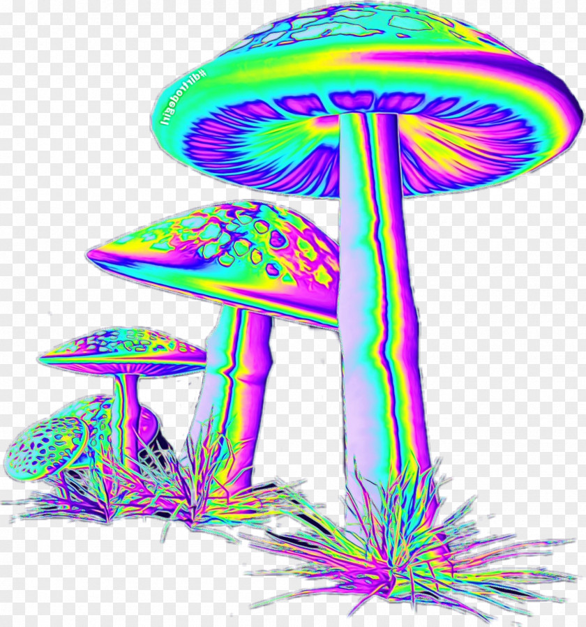 Mushroom Purple Cartoon PNG