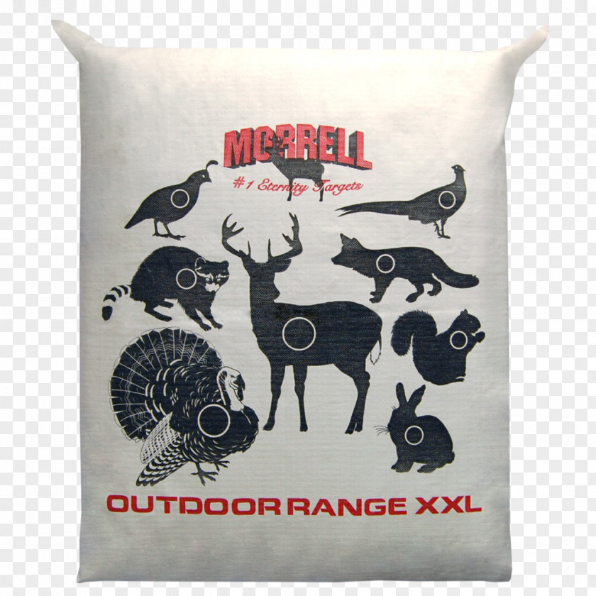 Archery Cover Throw Pillows Amazon.com Outdoor Recreation Target Corporation Cushion PNG