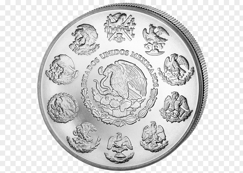 Coin Silver White Organism PNG