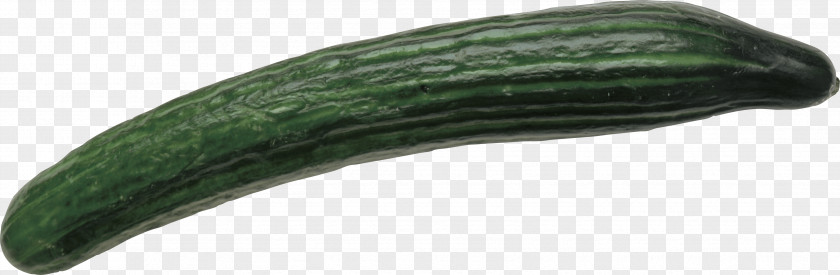 Cucumber Pickled Raita PNG