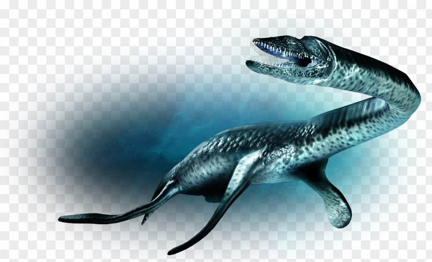 Dinosaur Plesiosaurus Velociraptor Parasaurolophus Liopleurodon Plesiosauria PNG