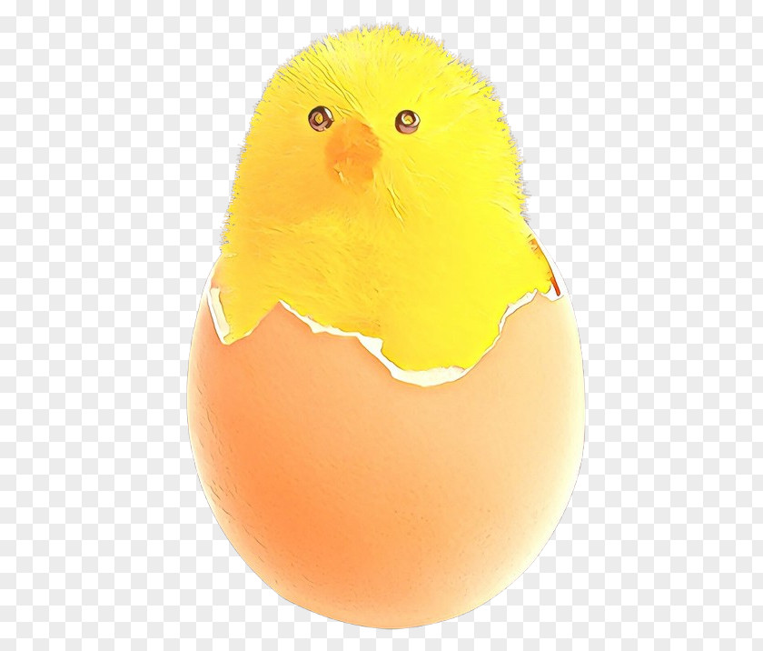 Easter Egg PNG