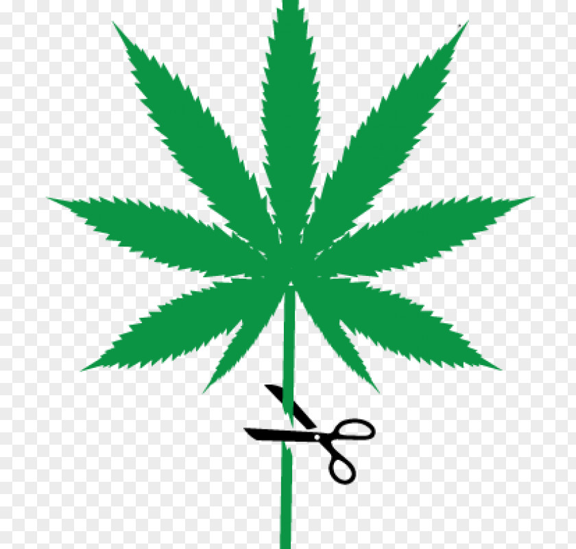 Genetic Material Cannabis Sativa Cup Medical Joint PNG