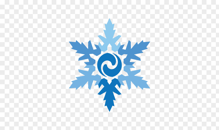 Snowflake Logo PNG