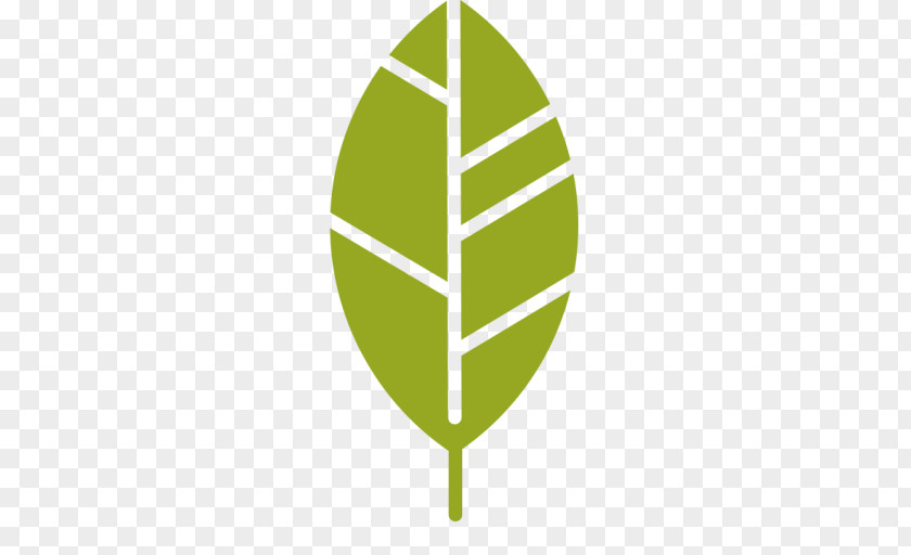 BAY LEAVES Graphic Designer Logo PNG