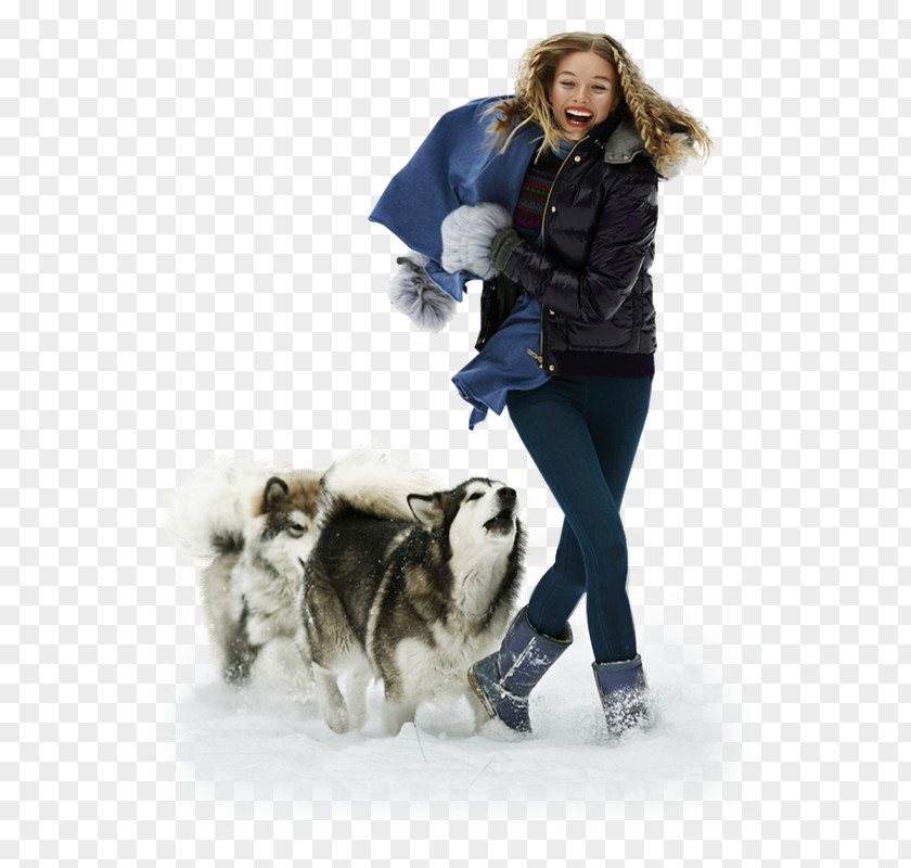 Dog Breed Companion Fur Winter PNG