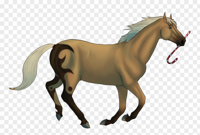 Mustang Mane Foal Stallion Mare PNG