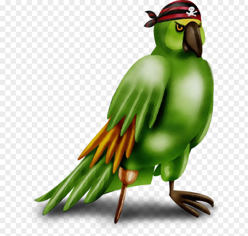 Plant Budgie Bird Beak Parrot Parakeet PNG