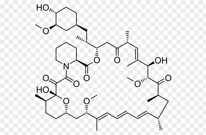 Sirolimus Immunosuppressive Drug Pharmaceutical Everolimus Lymphangioleiomyomatosis PNG