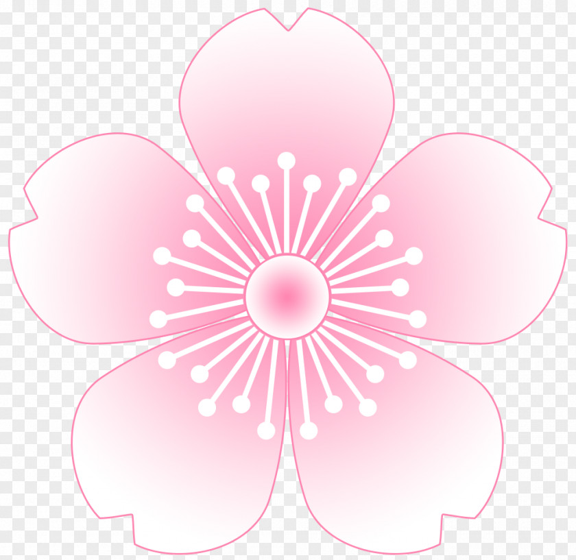 Spring Material Cherry Blossom Clip Art PNG