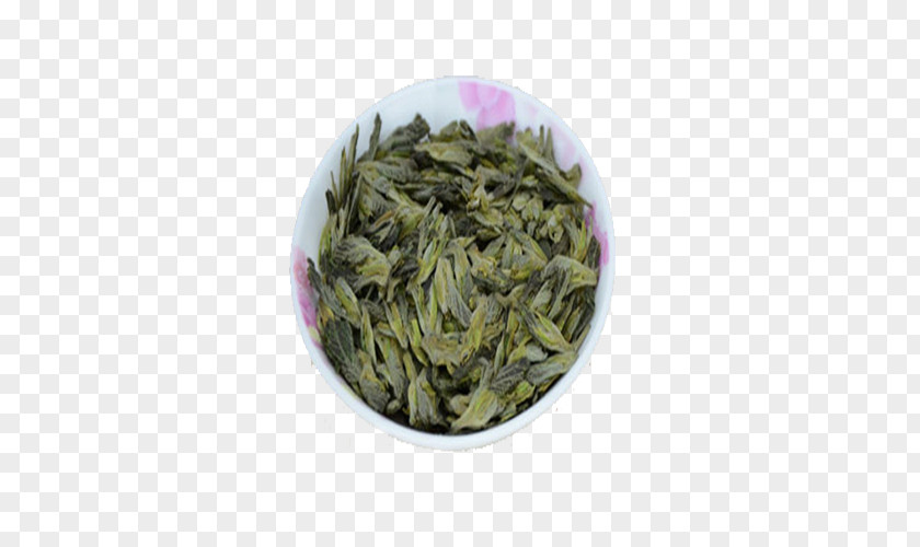 The Function Of Mulberry Leaf Tea Sencha Blood Sugar PNG